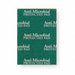 Scouring Pad 8 7/8 in L Green PK20