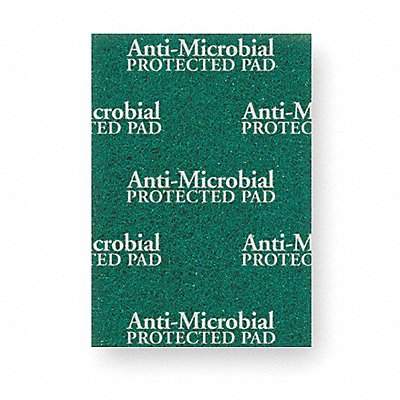 Scouring Pad 8 7/8 in L Green PK20