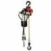 Air Chain Hoist 1100 lb Cap. 10 ft Lft