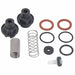 Check Valve Repair Plastic SS 1-1/8in