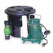 Sink Drain Pump System Integral 1/3 HP