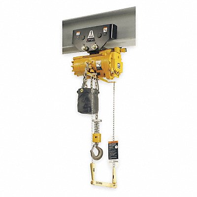 Air Chain Hoist 1100 lb Cap. 10 ft Lft