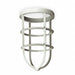 HazLocGuard NV2 Gray 4 1/4 L 4 1/4 W 7 H