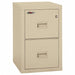 Vertical File 2 Drawer Letter