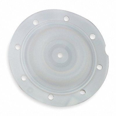 Replacement Diaphragm Neoprene