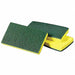 Scrubber 6 1/8 in L Green/Yellow PK20