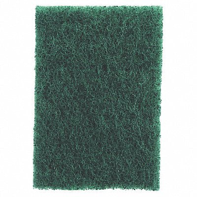 Scouring Pad 9 in L Green PK20