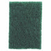 Scouring Pad 9 in L Green PK20