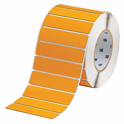 Label Yellow Glossy Polyester 4 in W