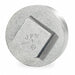 Square Head Plug Malleable Iron 4 in