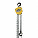 Manual Chain Hoist 2000 lb Lift 10 ft.