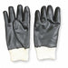 Chemical Resistant Glove 10-1/2 M PR