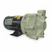 Cntrfug Pmp PolyP 3P 1 1/2in 3/4hp 37gpm