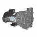 Cntrfug Pmp Noryl 1P 1 1/2in 1/3hp 22gpm