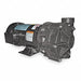 Cntrfug Pmp Noryl 3P 1 1/2in 3hp 123gpm