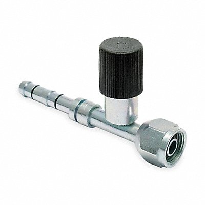 Female O-Ring Hose Fitting 8 Dash