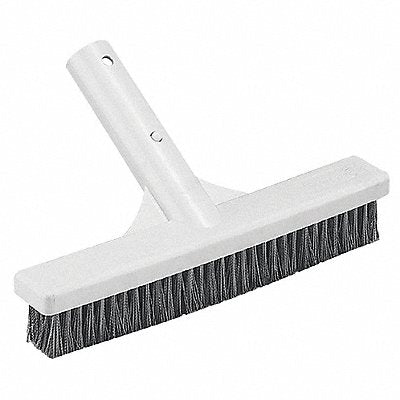 Algae Brush SS 9 In L