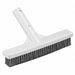 Algae Brush SS 9 In L
