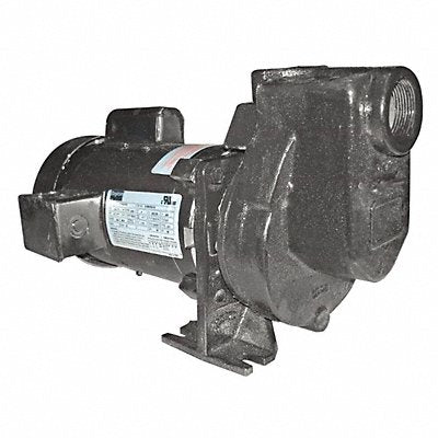 Self Priming Pump 3/4 HP Cast Iron