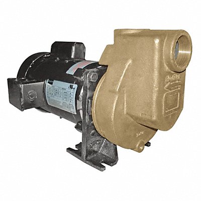 Self Priming Pump 1-1/2 HP Bronze