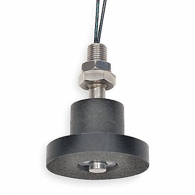 Low Lvl Lqd Swch Vrtcl 1/8 NPT SS 25 PSI