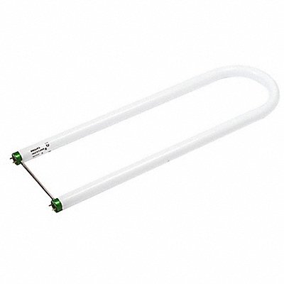 U-Bend Fluorescent Lamp