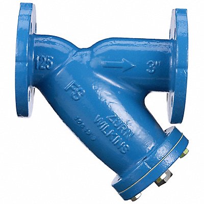 Ductile Iron Wye Type Strainer 3 in Pipe