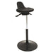 CHAIR,SIT/STAND,BK