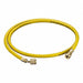 Manifold Gauge Hoses