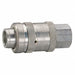 Quick Connect Socket 3/8 Body 3/8 -18