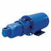 Progssv Cvty Pmp 40 psi 3/4 in 1/2 hp