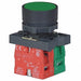 Non-Illuminated Push Button 22mm Plastic