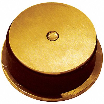 Sleeve Cap Yellow