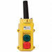 Pendant Station 2 Push Button NO NC