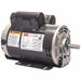 GP Motor 1 HP 1 725 RPM 115/230V AC 56H
