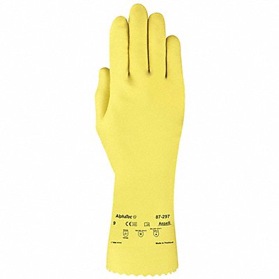 Gloves Size 10 PR