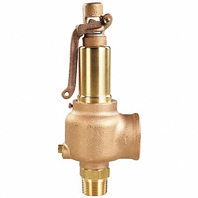 H7209 Safety Relief Valve 1/2 x 3/4 250 psi