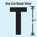 K8338 Die Cut Letter Label T 10 Cards PK10