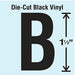 Die Cut Letter Label B 10 Cards PK10