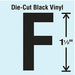 Die Cut Letter Label F 10 Cards PK10