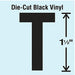 Die Cut Letter Label T 10 Cards PK10