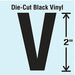 Die Cut Letter Label V 10 Cards PK10