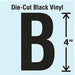 Die Cut Letter Label B 10 Cards PK10