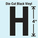 Die Cut Letter Label H 10 Cards PK10