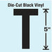 Die Cut Letter Label T 10 Cards PK10