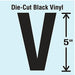 Die Cut Letter Label V 10 Cards PK10
