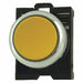 Push Button Maintained
