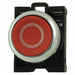 Non-Illuminated Push Button 22mm Metal