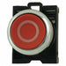 Non-Illuminated Push Button 22mm Metal
