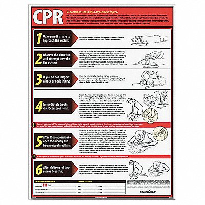 CPR Poster English